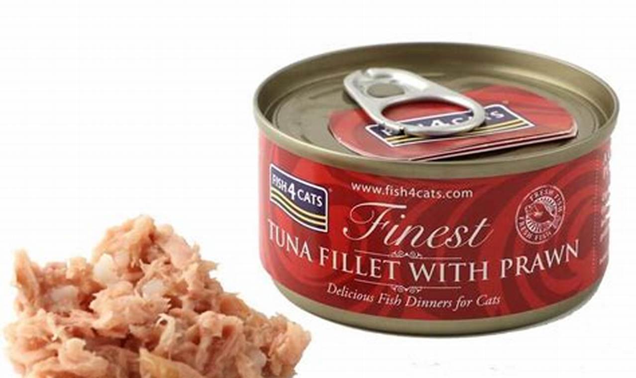 Best Tuna Fish Cat Food: Reviews & Healthy Choices! World’s Most Delicious Foods: Must-Try Dishes from Every Country Best Tuna Fish Cat Food: Reviews & Healthy Choices! | World’s Most Delicious Foods: Must-Try Dishes from Every Country
