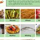 Top Food Starting With W: Recipes & Benefits | World’s Most Delicious Foods: Must-Try Dishes from Every Country