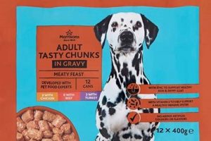 Best Dog Food with Real Meat Chunks: Top Choices! World’s Most Delicious Foods: Must-Try Dishes from Every Country Best Dog Food with Real Meat Chunks: Top Choices! | World’s Most Delicious Foods: Must-Try Dishes from Every Country