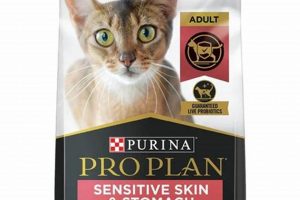 Top Picks: Best Cat Food for Sensitive Skin Relief Now! World’s Most Delicious Foods: Must-Try Dishes from Every Country Top Picks: Best Cat Food for Sensitive Skin Relief Now! | World’s Most Delicious Foods: Must-Try Dishes from Every Country