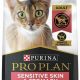 Top Picks: Best Cat Food for Sensitive Skin Relief Now! | World’s Most Delicious Foods: Must-Try Dishes from Every Country