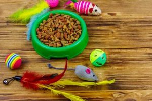 Cat's Toy Mystery: Why Cats Put Toys in Food Bowl? Behavior Explained World’s Most Delicious Foods: Must-Try Dishes from Every Country Cat's Toy Mystery: Why Cats Put Toys in Food Bowl? Behavior Explained | World’s Most Delicious Foods: Must-Try Dishes from Every Country