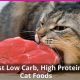 Best Low Carb Cat Wet Food: Fuel Your Feline's Health | World’s Most Delicious Foods: Must-Try Dishes from Every Country