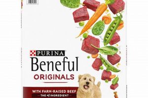 Why a White Bag of Dog Food Matters: Pros & Cons! World’s Most Delicious Foods: Must-Try Dishes from Every Country Why a White Bag of Dog Food Matters: Pros & Cons! | World’s Most Delicious Foods: Must-Try Dishes from Every Country