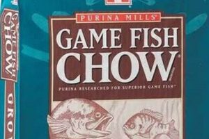 Best Purina Fish Food: Nutrition & Healthy Fish World’s Most Delicious Foods: Must-Try Dishes from Every Country Best Purina Fish Food: Nutrition & Healthy Fish | World’s Most Delicious Foods: Must-Try Dishes from Every Country