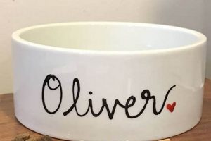 Best Personalized Dog Food Bowls: Unique & Safe! World’s Most Delicious Foods: Must-Try Dishes from Every Country Best Personalized Dog Food Bowls: Unique & Safe! | World’s Most Delicious Foods: Must-Try Dishes from Every Country