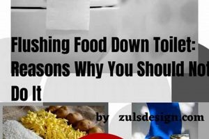 Toilet Troubles: Can You Flush Food Down the Toilet? (Risks) World’s Most Delicious Foods: Must-Try Dishes from Every Country Toilet Troubles: Can You Flush Food Down the Toilet? (Risks) | World’s Most Delicious Foods: Must-Try Dishes from Every Country
