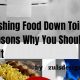 Toilet Troubles: Can You Flush Food Down the Toilet? (Risks) | World’s Most Delicious Foods: Must-Try Dishes from Every Country