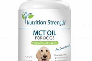 MCT Oil Dog Food: Benefits & Best Choices For Your Pup World’s Most Delicious Foods: Must-Try Dishes from Every Country MCT Oil Dog Food: Benefits & Best Choices For Your Pup | World’s Most Delicious Foods: Must-Try Dishes from Every Country
