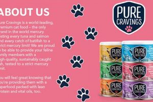 Is Pure Cravings Cat Food Worth It? Reviews & Analysis World’s Most Delicious Foods: Must-Try Dishes from Every Country Is Pure Cravings Cat Food Worth It? Reviews & Analysis | World’s Most Delicious Foods: Must-Try Dishes from Every Country