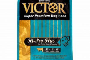 Fueling Dogs: Best Hi Pro Dog Food Options & Benefits World’s Most Delicious Foods: Must-Try Dishes from Every Country Fueling Dogs: Best Hi Pro Dog Food Options & Benefits | World’s Most Delicious Foods: Must-Try Dishes from Every Country