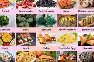 Discover: What Food Starts With S? & Delicious Dishes World’s Most Delicious Foods: Must-Try Dishes from Every Country Discover: What Food Starts With S? & Delicious Dishes | World’s Most Delicious Foods: Must-Try Dishes from Every Country