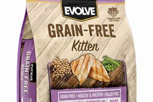 Evolve Cat Food: Best Choice Your Cat Will Love + Guide! World’s Most Delicious Foods: Must-Try Dishes from Every Country Evolve Cat Food: Best Choice Your Cat Will Love + Guide! | World’s Most Delicious Foods: Must-Try Dishes from Every Country