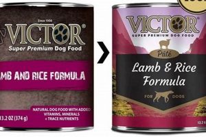 Best Victor Canned Dog Food: Reviews & Buying Guide World’s Most Delicious Foods: Must-Try Dishes from Every Country Best Victor Canned Dog Food: Reviews & Buying Guide | World’s Most Delicious Foods: Must-Try Dishes from Every Country