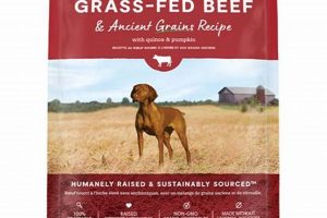 Best Ancient Grains Dog Food: Reviews & Guide 2024 World’s Most Delicious Foods: Must-Try Dishes from Every Country Best Ancient Grains Dog Food: Reviews & Guide 2024 | World’s Most Delicious Foods: Must-Try Dishes from Every Country