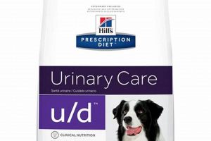 U/d Dog Food: Diet & Urinary Health for Dogs World’s Most Delicious Foods: Must-Try Dishes from Every Country U/d Dog Food: Diet & Urinary Health for Dogs | World’s Most Delicious Foods: Must-Try Dishes from Every Country