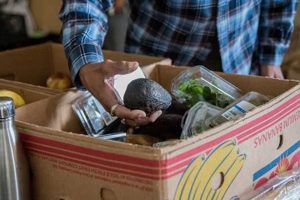 Temecula CA Food Bank: Find Help + How to Donate World’s Most Delicious Foods: Must-Try Dishes from Every Country Temecula CA Food Bank: Find Help + How to Donate | World’s Most Delicious Foods: Must-Try Dishes from Every Country