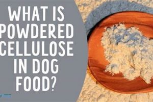 Is Powdered Cellulose in Dog Food Safe? + Guide World’s Most Delicious Foods: Must-Try Dishes from Every Country Is Powdered Cellulose in Dog Food Safe? + Guide | World’s Most Delicious Foods: Must-Try Dishes from Every Country