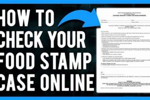 SNAP Guide: How to Find Case Number for Food Stamps + Tips World’s Most Delicious Foods: Must-Try Dishes from Every Country SNAP Guide: How to Find Case Number for Food Stamps + Tips | World’s Most Delicious Foods: Must-Try Dishes from Every Country