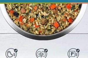 Best Dog Food Low in Phosphorus: Diet & Care World’s Most Delicious Foods: Must-Try Dishes from Every Country Best Dog Food Low in Phosphorus: Diet & Care | World’s Most Delicious Foods: Must-Try Dishes from Every Country