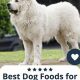 Top Rated: Best Puppy Food for Great Pyrenees (Expert Picks) | World’s Most Delicious Foods: Must-Try Dishes from Every Country