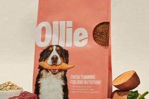 Ollie Dog Food: Where to Buy - Is It Sold in Stores? World’s Most Delicious Foods: Must-Try Dishes from Every Country Ollie Dog Food: Where to Buy - Is It Sold in Stores? | World’s Most Delicious Foods: Must-Try Dishes from Every Country