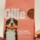 Ollie Dog Food: Where to Buy - Is It Sold in Stores? | World’s Most Delicious Foods: Must-Try Dishes from Every Country