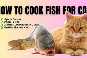 Homemade Cat Food Recipes with Fish (Easy & Healthy) World’s Most Delicious Foods: Must-Try Dishes from Every Country Homemade Cat Food Recipes with Fish (Easy & Healthy) | World’s Most Delicious Foods: Must-Try Dishes from Every Country