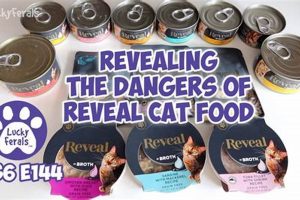 Top Reveal Cat Food Reviews: Expert Insights & More World’s Most Delicious Foods: Must-Try Dishes from Every Country Top Reveal Cat Food Reviews: Expert Insights & More | World’s Most Delicious Foods: Must-Try Dishes from Every Country