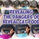 Top Reveal Cat Food Reviews: Expert Insights &amp; More | World’s Most Delicious Foods: Must-Try Dishes from Every Country