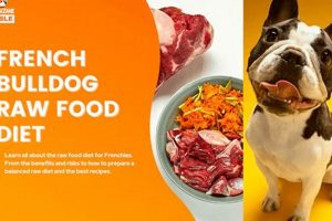 The Best Raw Food for Frenchies: A Complete Guide World’s Most Delicious Foods: Must-Try Dishes from Every Country The Best Raw Food for Frenchies: A Complete Guide | World’s Most Delicious Foods: Must-Try Dishes from Every Country