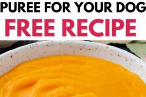 Easy Homemade Pumpkin Dog Food Recipe for a Happy Dog! World’s Most Delicious Foods: Must-Try Dishes from Every Country Easy Homemade Pumpkin Dog Food Recipe for a Happy Dog! | World’s Most Delicious Foods: Must-Try Dishes from Every Country