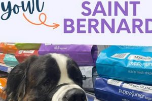The Ultimate Guide: Best Food for Saint Bernard Breeds + Diet Tips World’s Most Delicious Foods: Must-Try Dishes from Every Country The Ultimate Guide: Best Food for Saint Bernard Breeds + Diet Tips | World’s Most Delicious Foods: Must-Try Dishes from Every Country
