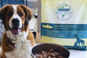 Best White Fish Dog Food Diet: Healthy & Delicious! World’s Most Delicious Foods: Must-Try Dishes from Every Country Best White Fish Dog Food Diet: Healthy & Delicious! | World’s Most Delicious Foods: Must-Try Dishes from Every Country