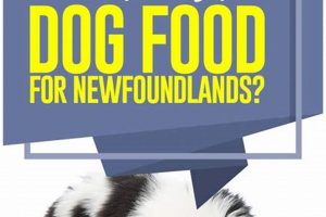 Top Newfoundland Food: Best Diet & Brands World’s Most Delicious Foods: Must-Try Dishes from Every Country Top Newfoundland Food: Best Diet & Brands | World’s Most Delicious Foods: Must-Try Dishes from Every Country
