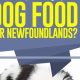 Top Newfoundland Food: Best Diet &amp; Brands | World’s Most Delicious Foods: Must-Try Dishes from Every Country