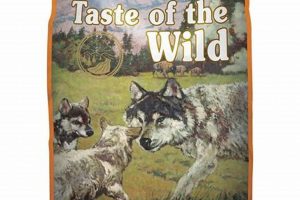 Best Taste of the Wild Puppy Food: A Guide for Your Dog World’s Most Delicious Foods: Must-Try Dishes from Every Country Best Taste of the Wild Puppy Food: A Guide for Your Dog | World’s Most Delicious Foods: Must-Try Dishes from Every Country
