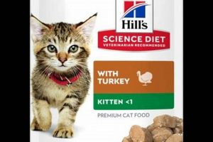 Best Turkey Wet Cat Food: Healthy & Delicious! World’s Most Delicious Foods: Must-Try Dishes from Every Country Best Turkey Wet Cat Food: Healthy & Delicious! | World’s Most Delicious Foods: Must-Try Dishes from Every Country