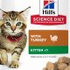Best Turkey Wet Cat Food: Healthy & Delicious! | World’s Most Delicious Foods: Must-Try Dishes from Every Country