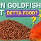 Feeding Faux Pas: Can a Goldfish Eat Betta Fish Food? | World’s Most Delicious Foods: Must-Try Dishes from Every Country