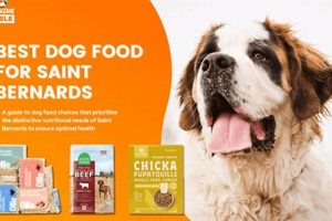 Top Picks: Best Dog Food for St. Bernard Breed Dogs World’s Most Delicious Foods: Must-Try Dishes from Every Country Top Picks: Best Dog Food for St. Bernard Breed Dogs | World’s Most Delicious Foods: Must-Try Dishes from Every Country