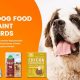 Top Picks: Best Dog Food for St. Bernard Breed Dogs | World’s Most Delicious Foods: Must-Try Dishes from Every Country