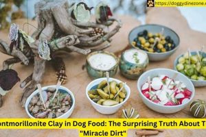 Benefits of Montmorillonite Clay in Dog Food | Diet Guide World’s Most Delicious Foods: Must-Try Dishes from Every Country Benefits of Montmorillonite Clay in Dog Food | Diet Guide | World’s Most Delicious Foods: Must-Try Dishes from Every Country