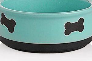 Best Small Dog Food Bowls: Feeding Your Tiny Friend Right World’s Most Delicious Foods: Must-Try Dishes from Every Country Best Small Dog Food Bowls: Feeding Your Tiny Friend Right | World’s Most Delicious Foods: Must-Try Dishes from Every Country