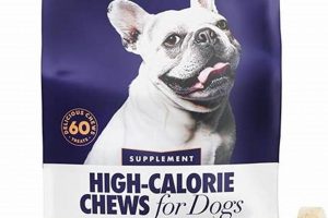 Boost Your Dog's Health: High Calorie Food Supplements World’s Most Delicious Foods: Must-Try Dishes from Every Country Boost Your Dog's Health: High Calorie Food Supplements | World’s Most Delicious Foods: Must-Try Dishes from Every Country
