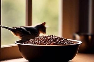 Do Birds Eat Cat Food? Feeding & Safety Tips World’s Most Delicious Foods: Must-Try Dishes from Every Country Do Birds Eat Cat Food? Feeding & Safety Tips | World’s Most Delicious Foods: Must-Try Dishes from Every Country