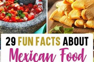 Spice Up Your Life: Fun Facts About Mexican Food Today World’s Most Delicious Foods: Must-Try Dishes from Every Country Spice Up Your Life: Fun Facts About Mexican Food Today | World’s Most Delicious Foods: Must-Try Dishes from Every Country