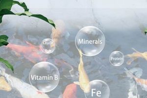 Best High Protein Fish Food: Fuel Fish Growth! World’s Most Delicious Foods: Must-Try Dishes from Every Country Best High Protein Fish Food: Fuel Fish Growth! | World’s Most Delicious Foods: Must-Try Dishes from Every Country