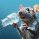 Rat Survival: How Long Can a Rat Live Without Food &amp; Water? | World’s Most Delicious Foods: Must-Try Dishes from Every Country