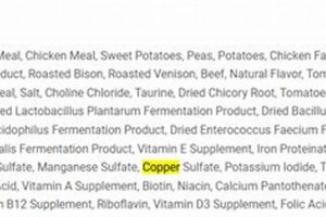 Boost Coat & Health: Copper Proteinate in Dog Food Now! World’s Most Delicious Foods: Must-Try Dishes from Every Country Boost Coat & Health: Copper Proteinate in Dog Food Now! | World’s Most Delicious Foods: Must-Try Dishes from Every Country